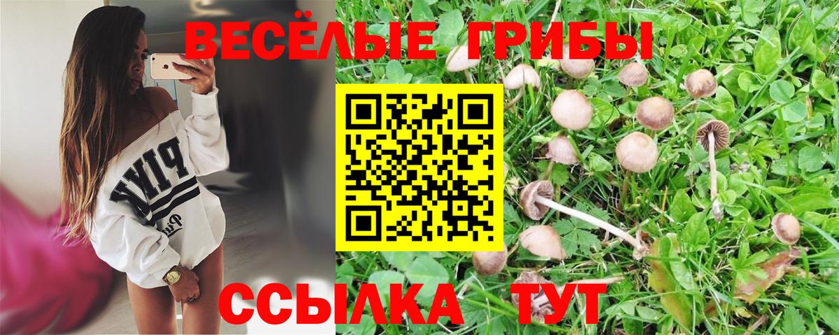 Галлюциногенные грибы Magic Shrooms Ухта