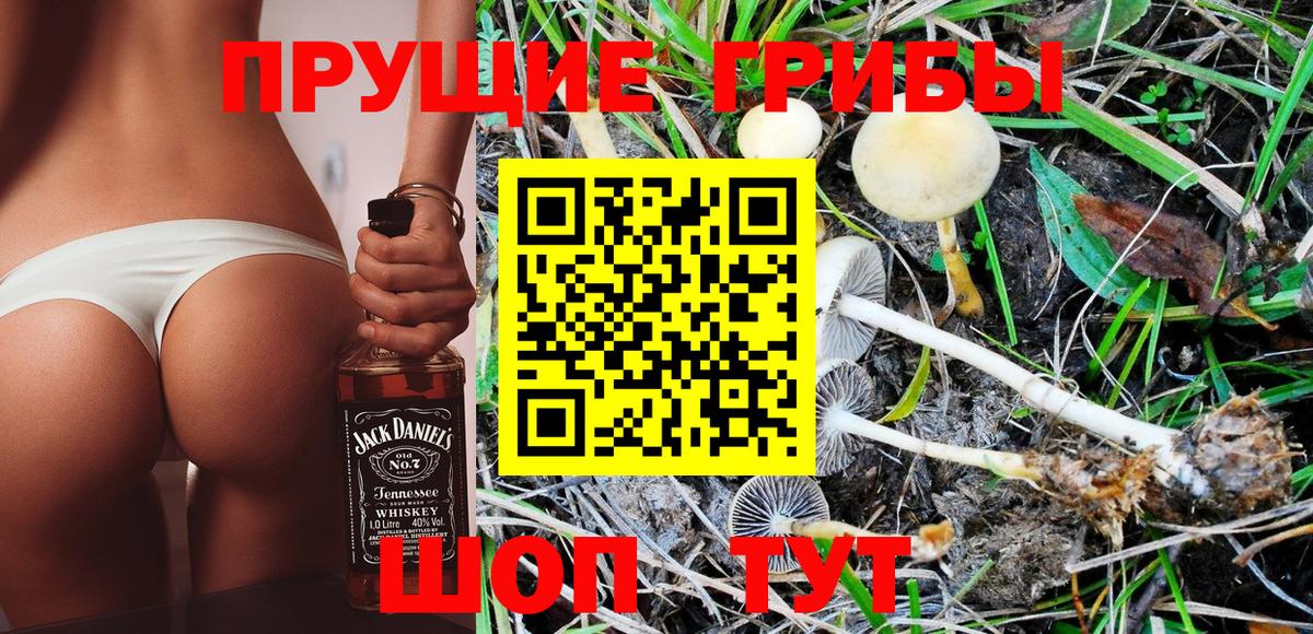 Ухта  Псилоцибиновые грибы MAGIC MUSHROOMS  Вход с VPN 